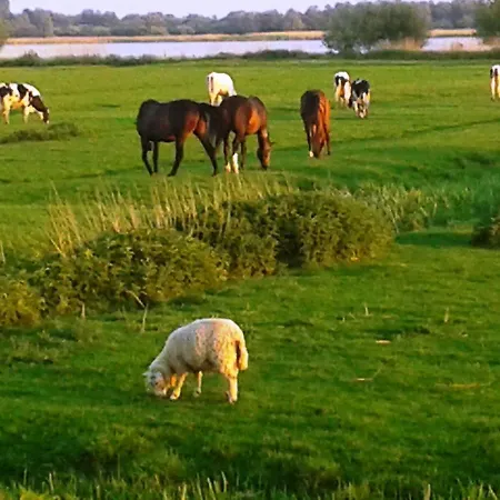 Of - Mit Terrasse Fuer 2 Personen Absolut Ruhig Apartmán *