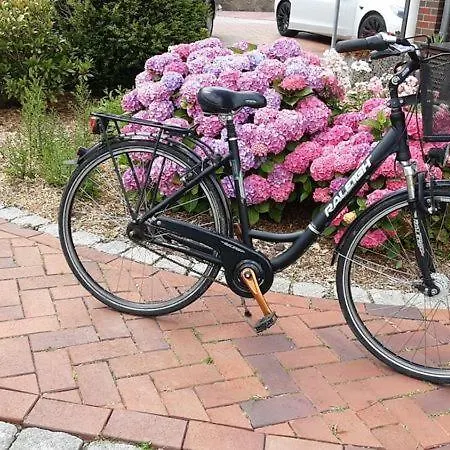 Of - Mit Terrasse Fuer 2 Personen Absolut Ruhig شقة Kollmar