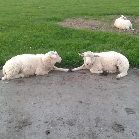 Apartmán Of - Mit Terrasse Fuer 2 Personen Absolut Ruhig Kollmar