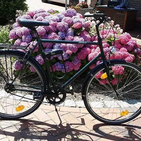 Of - Mit Terrasse Fuer 2 Personen Absolut Ruhig Apartmán Kollmar